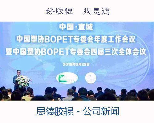 思德膠輥參加2019宣城塑協(xié)會議